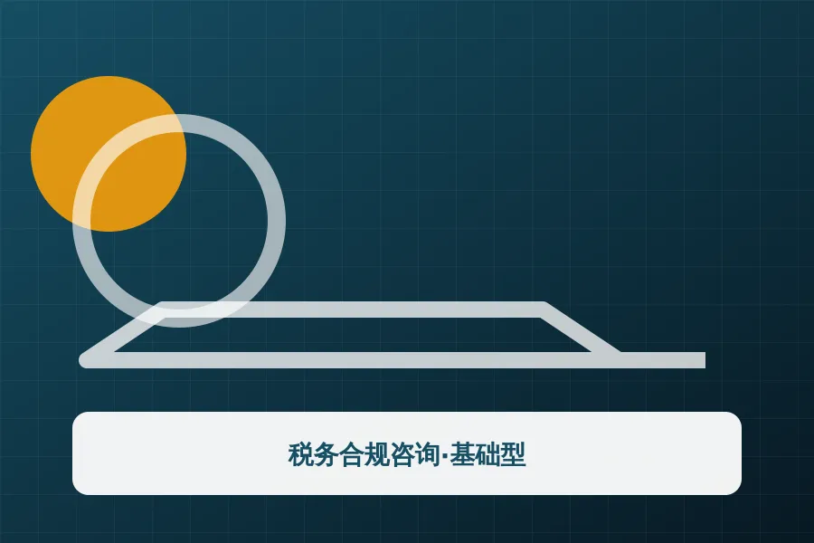 税务合规咨询·基础型应用示意图