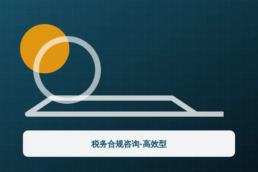 税务合规咨询·高效型应用示意图