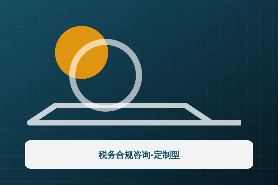 税务合规咨询·定制型应用示意图