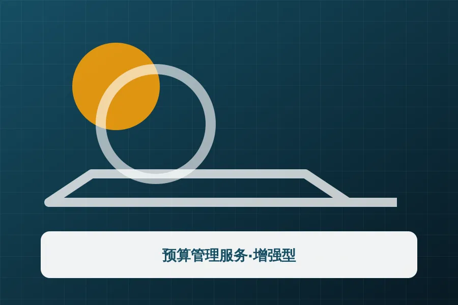 预算管理服务·增强型应用示意图
